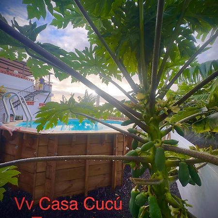 Вілла Casa Cucu Тасакорте Екстер'єр фото